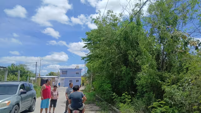 Ramas de árboles dejan sin luz a familias de la colonia Fátima