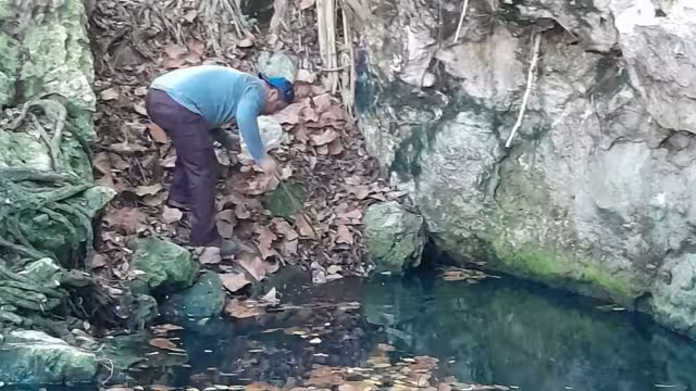 La cantidad de basura retirada en los cenotes ha aumentado en los últimos años