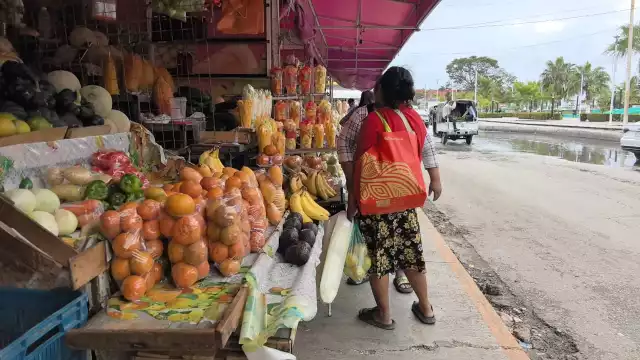 Comerciantes de Campeche reportan alza en papaya y limón