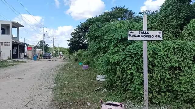 El feto humano fue encontrado por un niño, cuando un perro lo traía en su hocico en la colonia Félix González de Cozumel