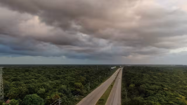 Uno de cada 10 habitantes en la Península de Yucatán vive en áreas forestales