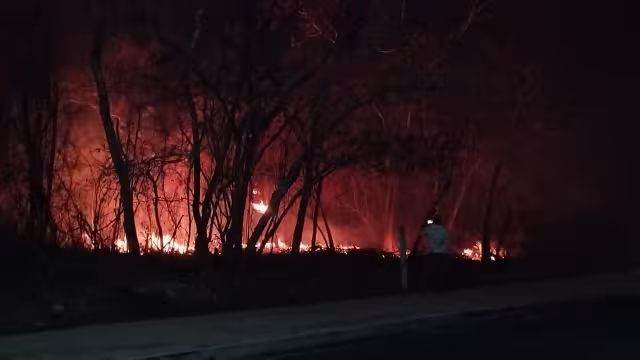 Van 24 incendios forestales en Campeche en lo que va del año.