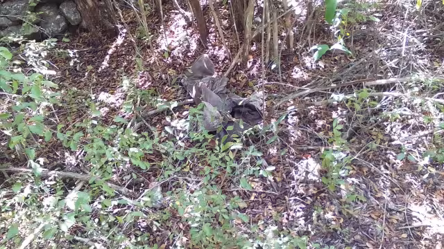 El cuerpo se encontraba entre la maleza y aún no ha sido identificado