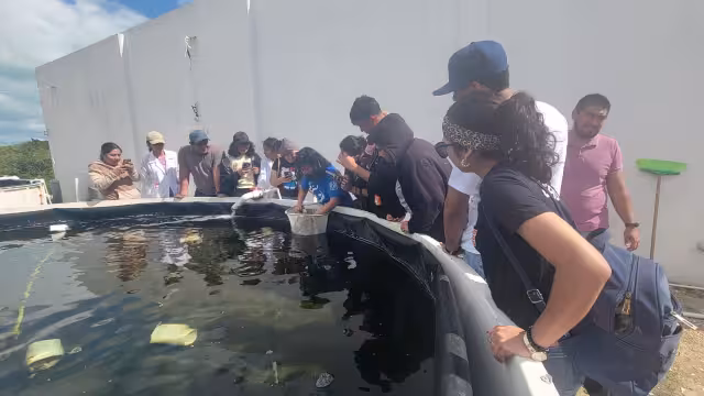 En 30 días naturales se nombrará el rector de la institución que se ubicará en Progreso