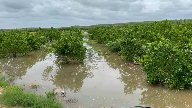 Productores de Hopelchén reportan graves afectaciones por inundaciones