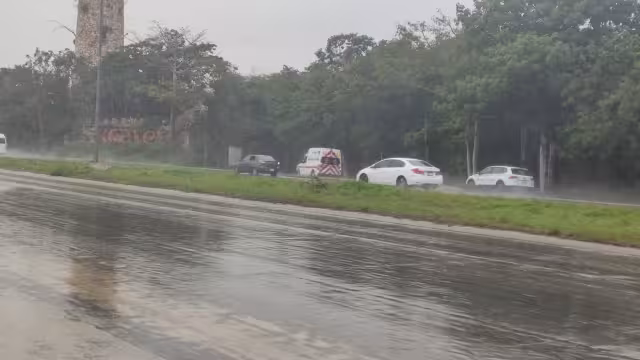 De acuerdo con las autoridades estatales, este hecho fue parte de una discusión entre huéspedes; las tres víctimas provienen de Canadá.