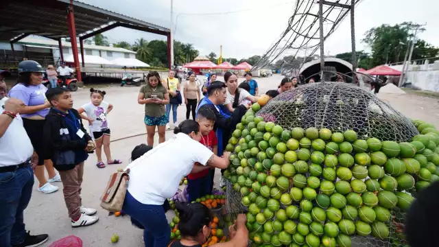 Niños del Centro de Autismo colocan naranjas en las estructuras que se exhibirán este 11 de diciembre