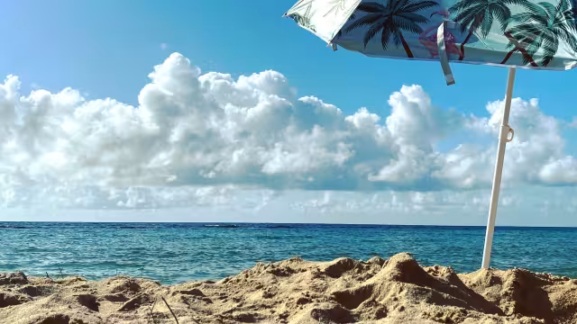 Nadie odia unos días libres extras y si estás estudiando o trabajando, probablemente no puedas esperar a saber cuándo será el próximo fin de semana largo.