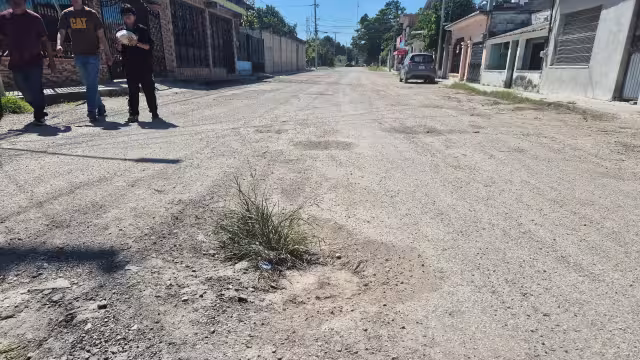 En algunos puntos ya creció vegetación, pues no se han arreglado los baches.