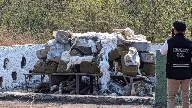 Las drogas fueron aseguradas en distintos operativos en Campeche