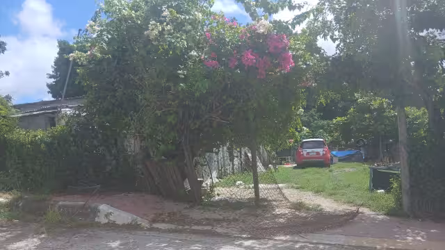 La entrada solo tenía malla, por lo que fue fácil para los ladrones entrar.