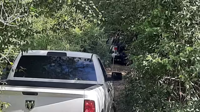 Agentes de la Vicefiscalía de Escárcega acudieron a bordo de camionetas desde el ejido Justicia Social hasta el lugar, a unos seis kilómetros de distancia