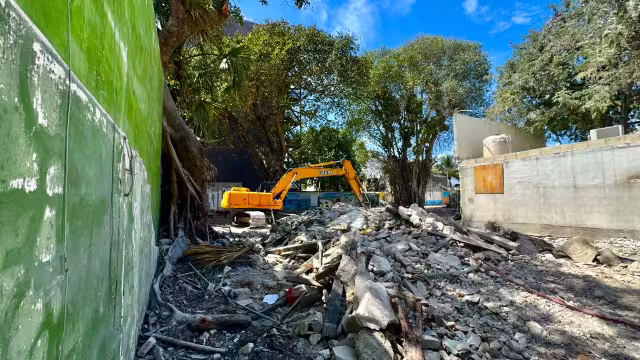 Organizaciones ambientales piden que los proyectos inmobiliarios se adapten a la naturaleza