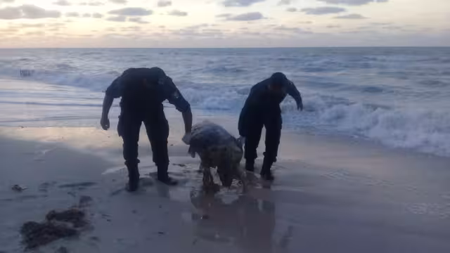 FOTOS: Julio Jiménez Mendoza