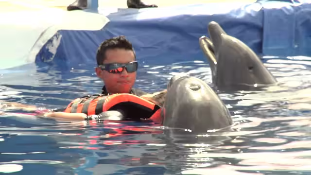 El Delfinario de Xmatkuil fue retirado por una Ley que prohíbe el uso de especies como atracciones