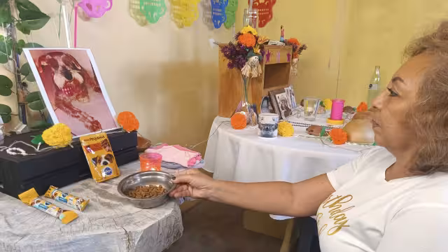 Laura Yorgina Mena da la bienvenida a sus mascotas Kembly y Lula con un altar dedicado a ellas