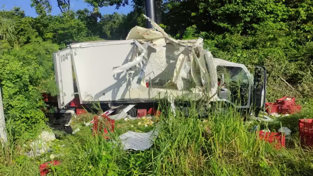 La unidad terminó entre la maleza luego de chocar contra un poste en la carretera federal Cancún-Playa del Carmen
