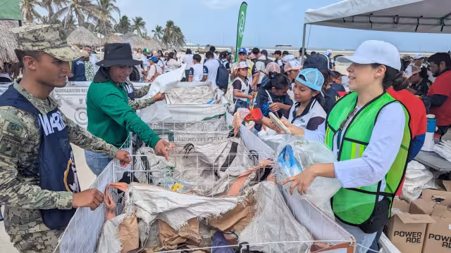 Mantienen vigilancia ambiental en la costa; disminuyen incidentes en anidación de tortugas