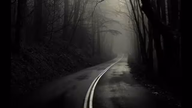 Cozumel no sólo esconde bellezas naturales que llaman al turismo