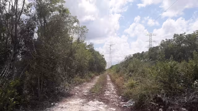 Los cuerpos fueron trasladados al Servicio Médico Forense