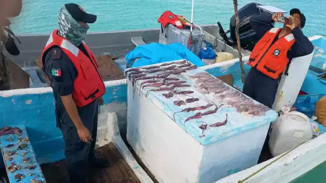 Se detuvo a los dos pescadores y se aseguró el producto que llevaban