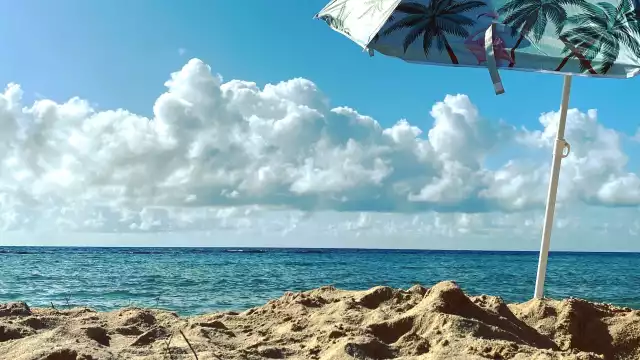 Vacaciones de verano 2023