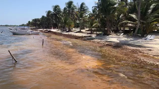 La asociación Aak Mahahual postergó 15 días el retiro de la basura