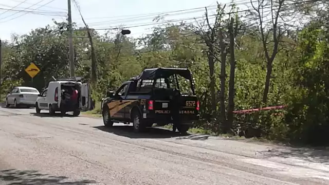 Los restos fueron hallados por empleados de una empresa de telefonía