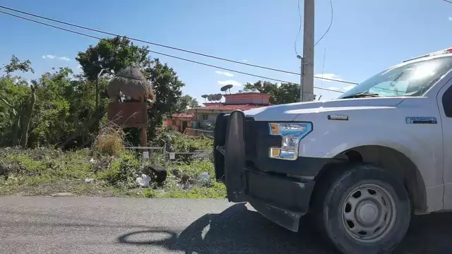 Se desconoce si se trata del cuerpo de un hombre o de una mujer