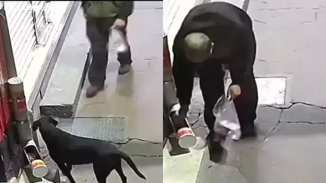 Hombre le roba sus croquetas a perrito callejero