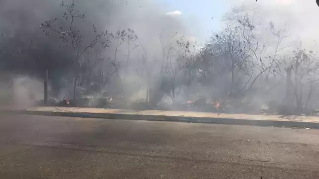 El fuego comenzó por un vecino que intentó quemar su basura