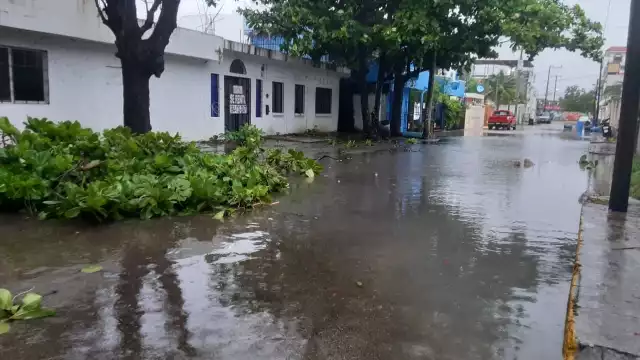 FOTOS: Sandy Márquez