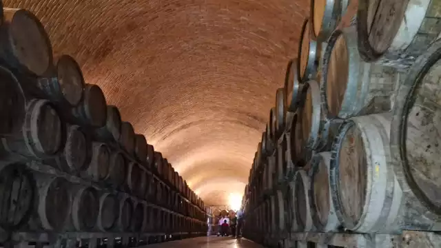 La cava de la destilería es única en todo el estado.