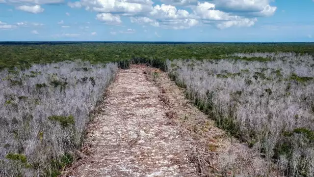 Del total de terreno, 205 mil 064.42 metros cuadrados a los cinco polígonos que hay en el municipio de Solidaridad