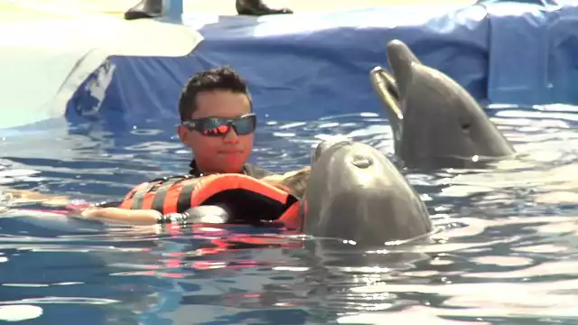 El Delfinario de Xmatkuil fue retirado por una Ley que prohíbe el uso de especies como atracciones