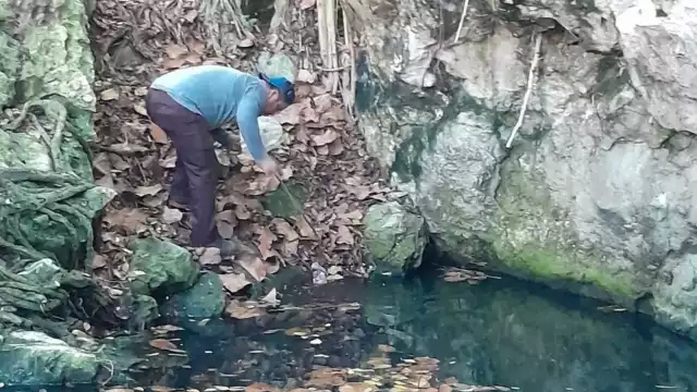 La cantidad de basura retirada en los cenotes ha aumentado en los últimos años