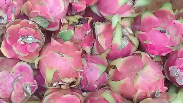 El kilo de la fruta exótica o dragón chino ronda entre los 25 y 35 pesos por kilo