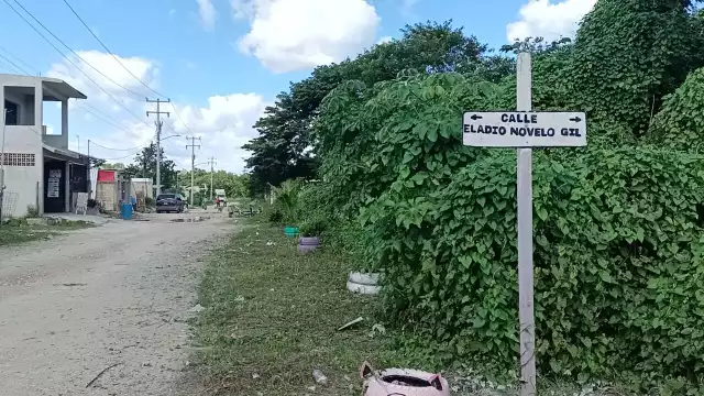 El feto humano fue encontrado por un niño, cuando un perro lo traía en su hocico en la colonia Félix González de Cozumel