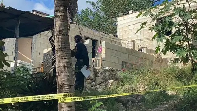 De los 52 casos registrados, siete son envenenados y tres por disparo