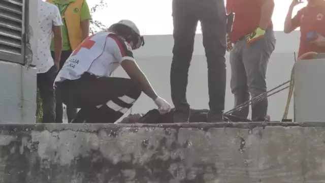 Foto: Ricardo Jiménez