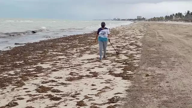 Desciende el nivel del mar debido a los fuertes vientos del Noreste