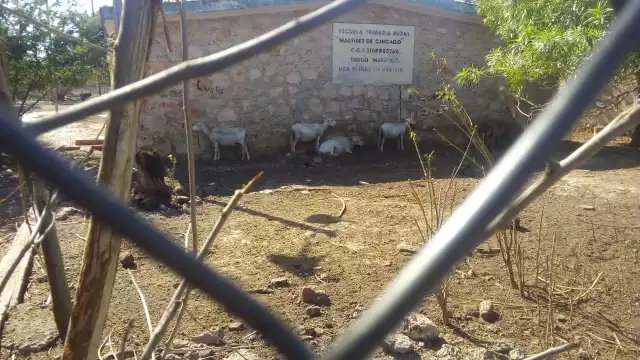 Los habitantes esperan que las escuelas sean reabiertas pronto