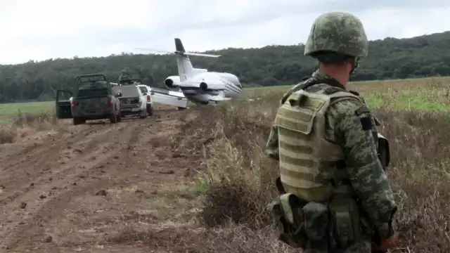 Se desconoce con exactitud cuanto mide el sembradío hallado en Campeche
