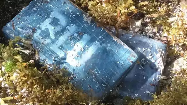 la droga fue encontrada en la zona costera por recolectores de sargazo