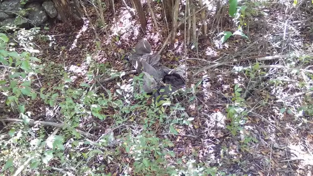 El cuerpo se encontraba entre la maleza y aún no ha sido identificado