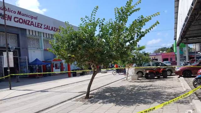 Alerta en mercado municipal por enjambre de abejas africanas