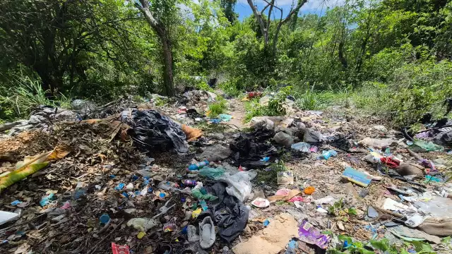 Vecinos de Pénjamo enfrentan picazón por pelusa de terrenos abandonados