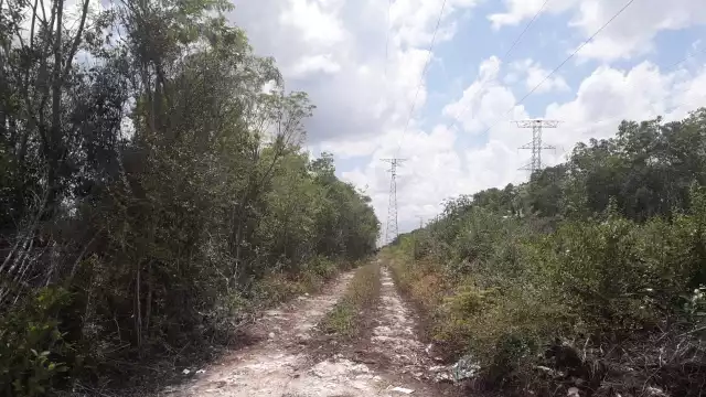 Los cuerpos fueron trasladados al Servicio Médico Forense