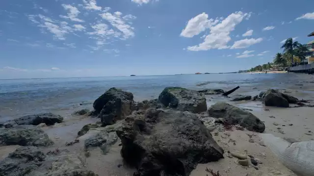 Actualmente están evaluando los posibles estudios que permitan crear una proyección integral de rehabilitación