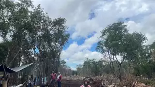 La Fiscalía informó que los detenidos enfrentarán cargos por daños a la propiedad y delitos ambientales.